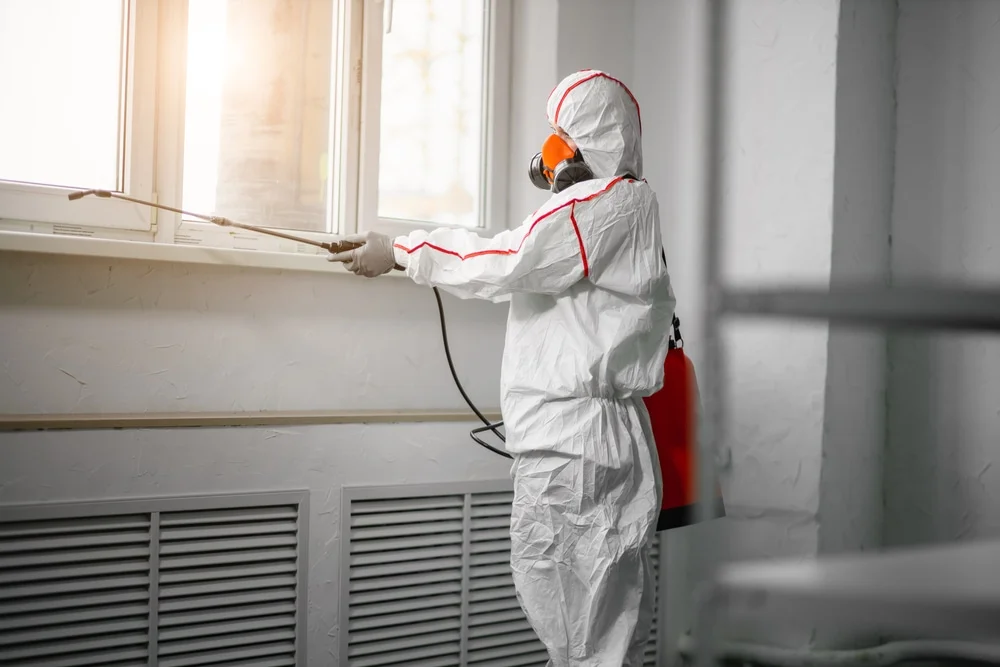 Professional mold remediation services in Mulberry, IN